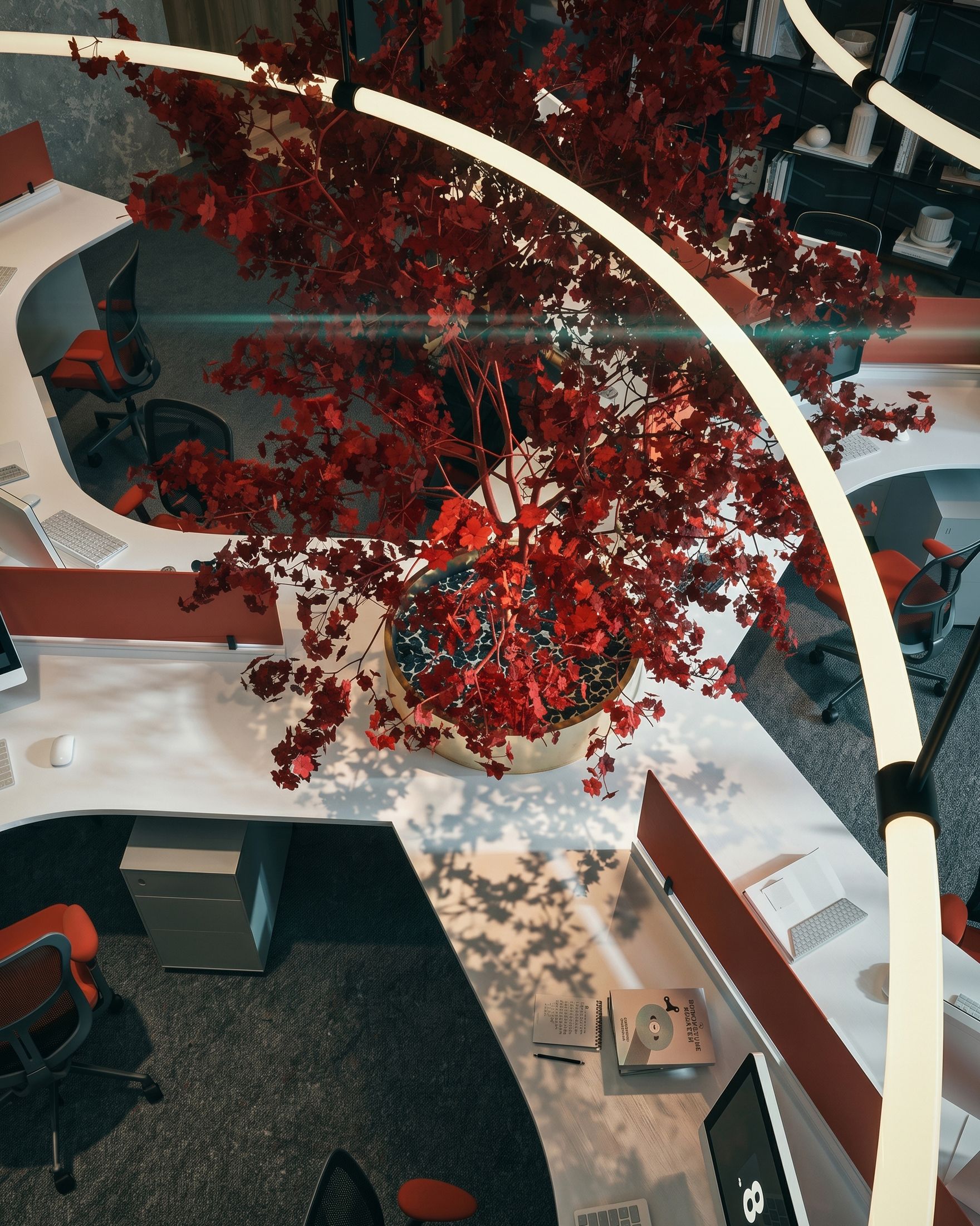 Healthy Crops — Agora, Fifth Settlement — Xforms Studio