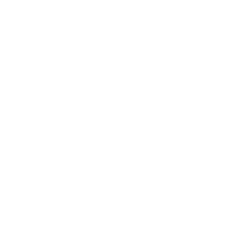 Zein El Sham